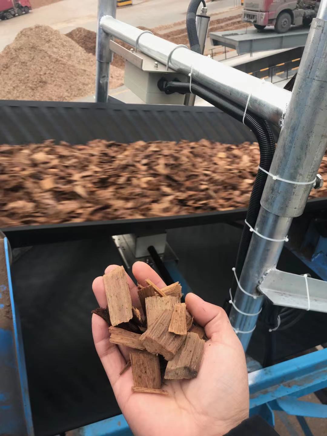 1763515835132531.jpg 木片2.jpg